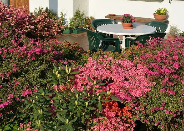 Palma Апартаменты *